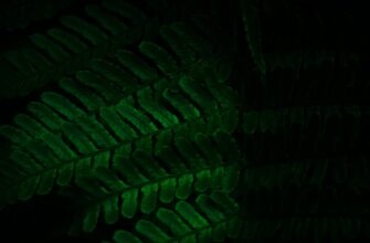 encrypt private key without kyc 2025 guide