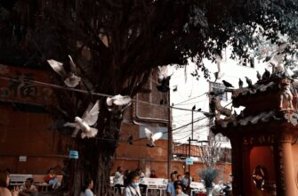 exchange eth with paypal in buenos aires