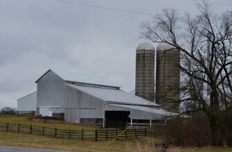 farm ada on beefy finance
