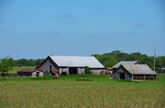 farm ada on beefy finance guide