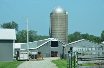 farm ada on coinbase staking