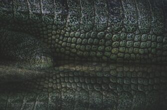farm atom on kraken staking step by step