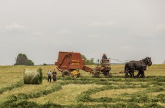 farm avax on kraken staking in 2025