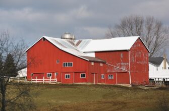 farm avax on yearn finance beginner