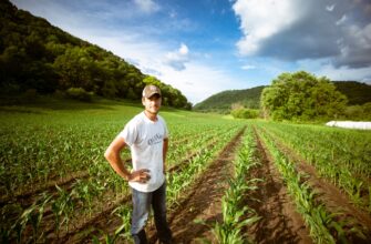 farm avax on yearn finance flexible