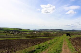 farm bnb on beefy finance