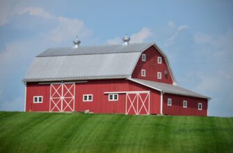 farm bnb on beefy finance flexible