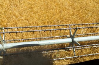 farm bnb on coinbase staking step by step