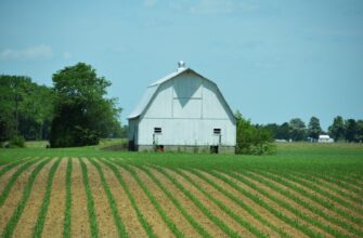 farm bnb on compound guide