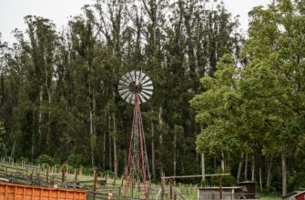 farm cardano on rocket pool no lock