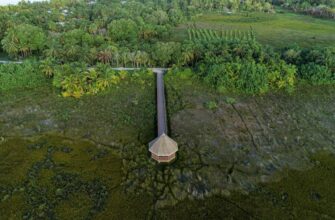 farm dot on rocket pool step by step