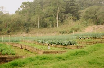farm eth step by step