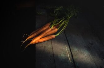 farm ethereum on lido finance
