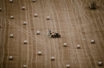 farm sol low risk