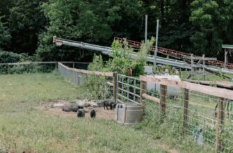farm solana on rocket pool best apy