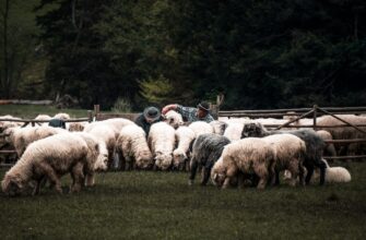 farm ton on coinbase staking tutorial