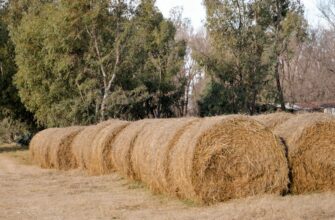 farm usdc on binance earn