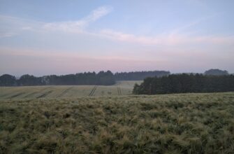 farm usdt no lock