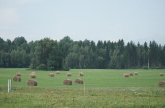 farm usdt on aave highest apy