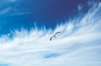 free aptos airdrop on coinbase