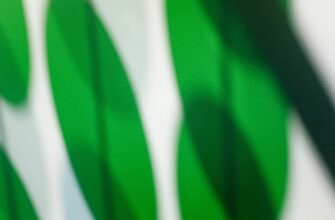 free dot airdrop in nigeria