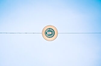 free dot airdrop in south africa