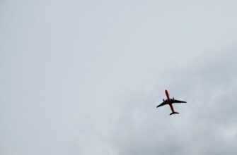free ethereum airdrop in brazil