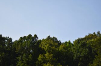 free ethereum airdrop in south africa
