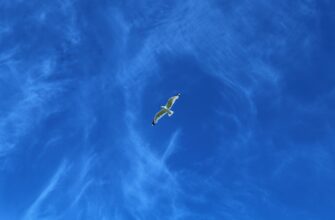 free ethereum airdrop on bybit