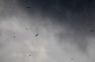 free ethereum airdrop on zksync