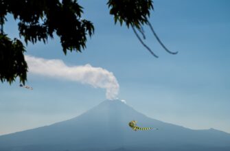 free matic airdrop in indonesia