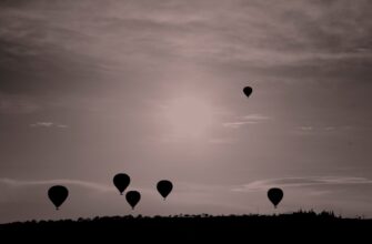 free opbnb airdrop on optimism