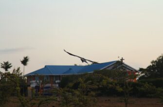 free sol airdrop in nigeria