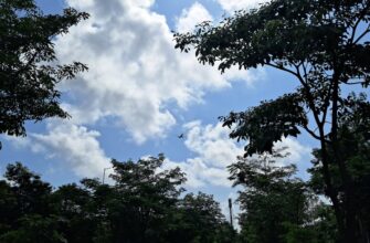 free sol airdrop in thailand