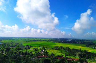 free solana airdrop in indonesia