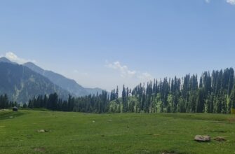 free ton airdrop in pakistan