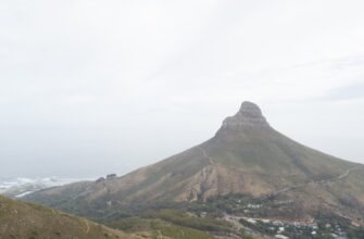 free ton airdrop in south africa