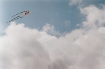 get bitcoin airdrop on bybit