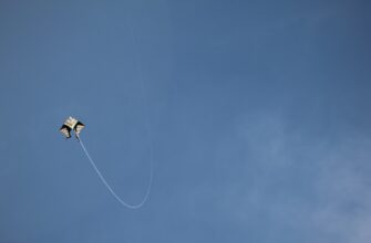 get btc airdrop on blast