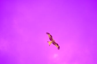 get ethereum airdrop on layerzero