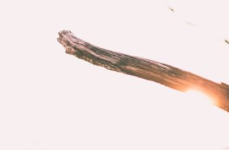 get sol airdrop on starknet