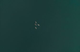 get sui airdrop on kucoin