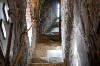 guard ledger in cold storage step by step