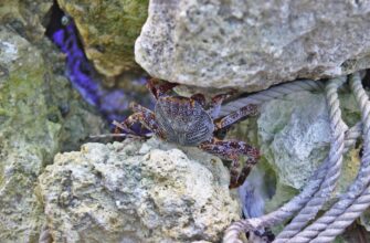 hedging bnb on kraken risk management