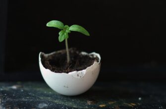 how to backup seed phrase anonymously