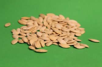 how to backup seed phrase without kyc