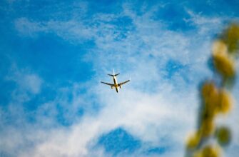 how to claim sui airdrop tutorial