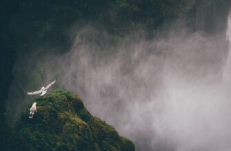 how to claim ton airdrop for beginners