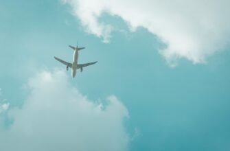 how to collect avax airdrop for beginners