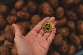 how to collect bitcoin airdrop massive